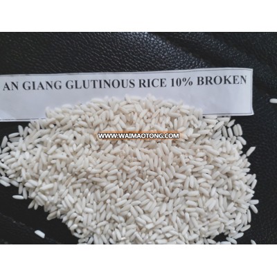 VIETNAM AN GIANG GLUTINOUS RICE 10% BROKEN